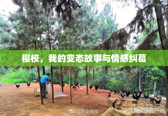 樱校，我的变态故事与情感纠葛