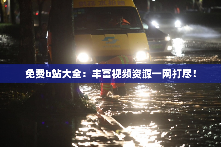免费b站大全：丰富视频资源一网打尽！