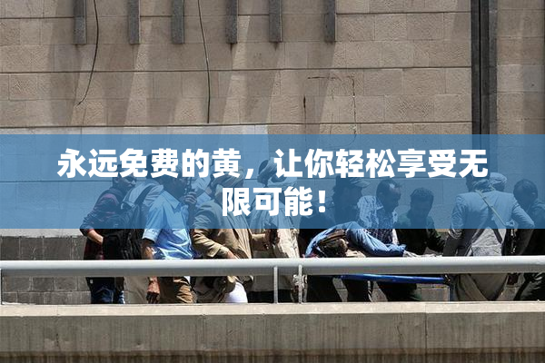 永远免费的黄，让你轻松享受无限可能！
