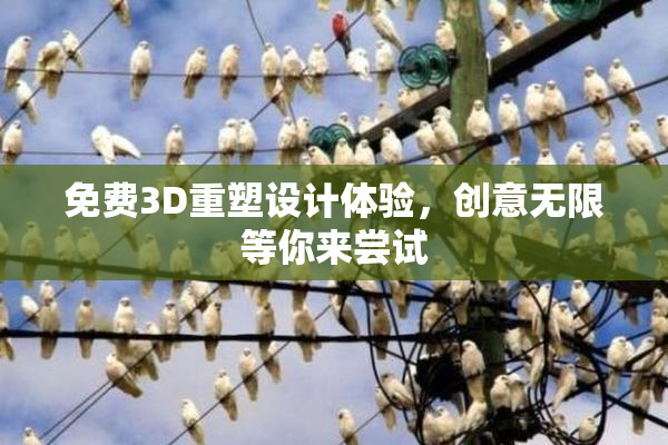 免费3D重塑设计体验，创意无限等你来尝试