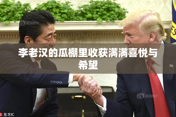 李老汉的瓜棚里收获满满喜悦与希望