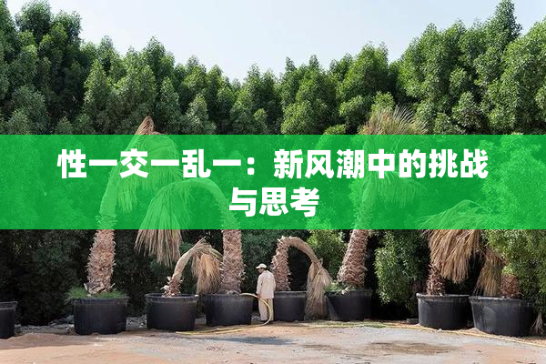 性一交一乱一：新风潮中的挑战与思考