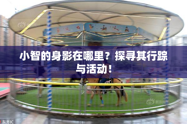 小智的身影在哪里？探寻其行踪与活动！