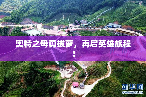 奥特之母勇拔萝，再启英雄旅程！