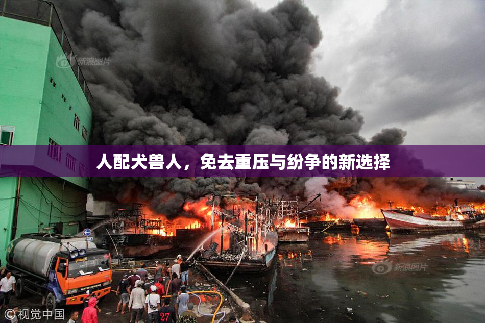 人配犬兽人，免去重压与纷争的新选择