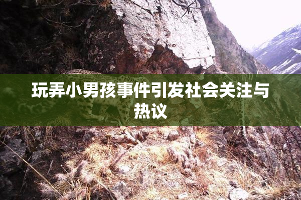 玩弄小男孩事件引发社会关注与热议