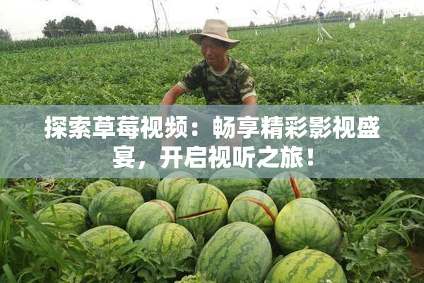 探索草莓视频：畅享精彩影视盛宴，开启视听之旅！