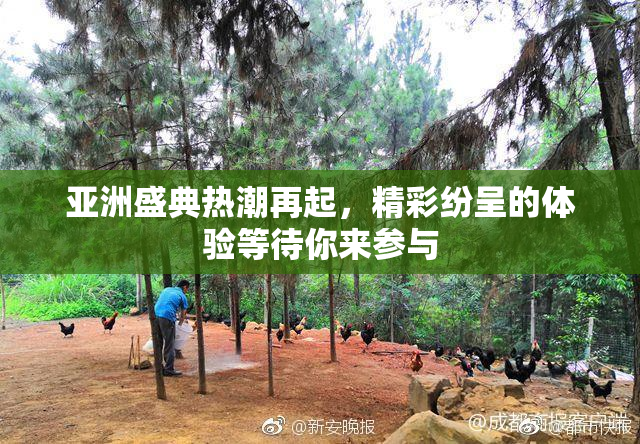 亚洲盛典热潮再起，精彩纷呈的体验等待你来参与