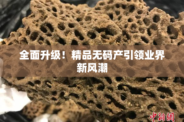全面升级！精品无码产引领业界新风潮