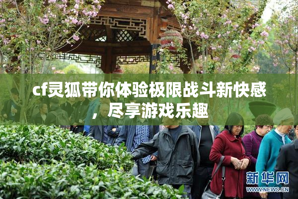 cf灵狐带你体验极限战斗新快感，尽享游戏乐趣
