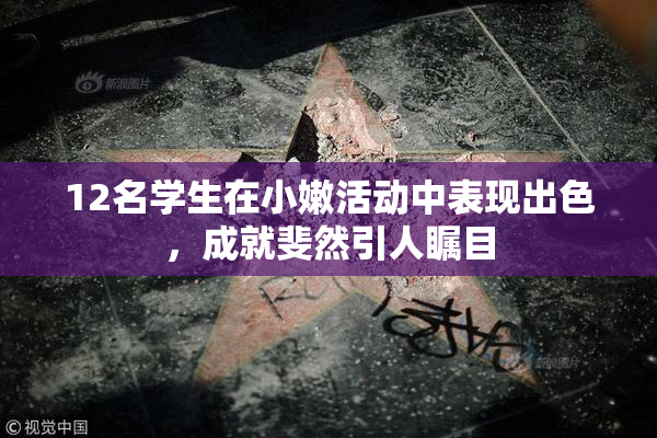 12名学生在小嫩活动中表现出色，成就斐然引人瞩目