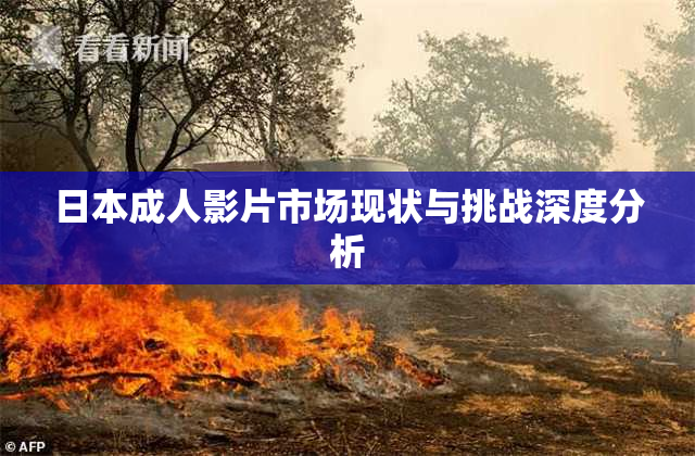 日本成人影片市场现状与挑战深度分析