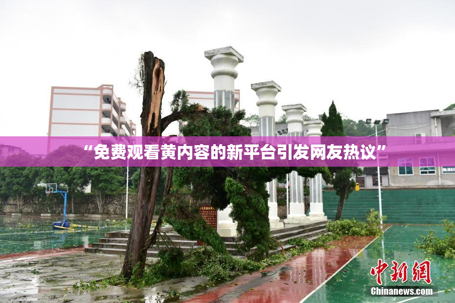 “免费观看黄内容的新平台引发网友热议”