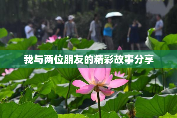 我与两位朋友的精彩故事分享