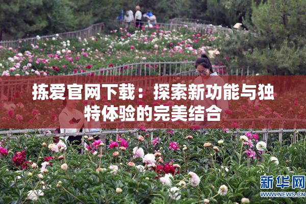 拣爱官网下载：探索新功能与独特体验的完美结合