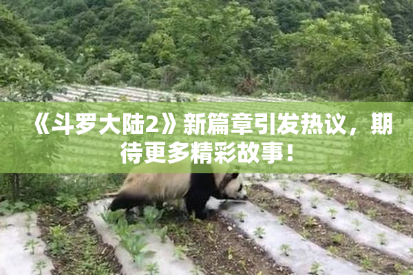 《斗罗大陆2》新篇章引发热议，期待更多精彩故事！