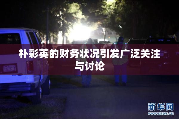 朴彩英的财务状况引发广泛关注与讨论