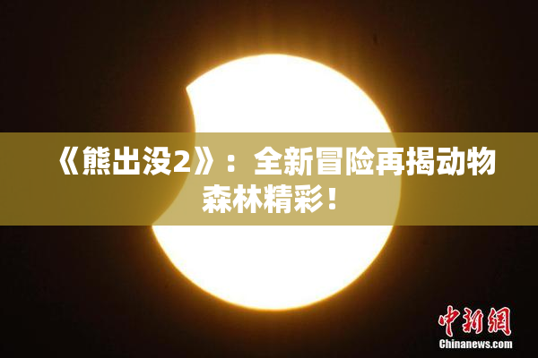 《熊出没2》：全新冒险再揭动物森林精彩！