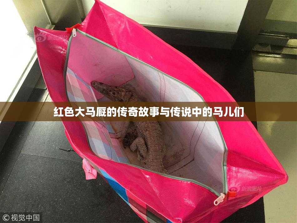 红色大马厩的传奇故事与传说中的马儿们