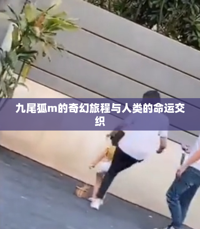 九尾狐m的奇幻旅程与人类的命运交织