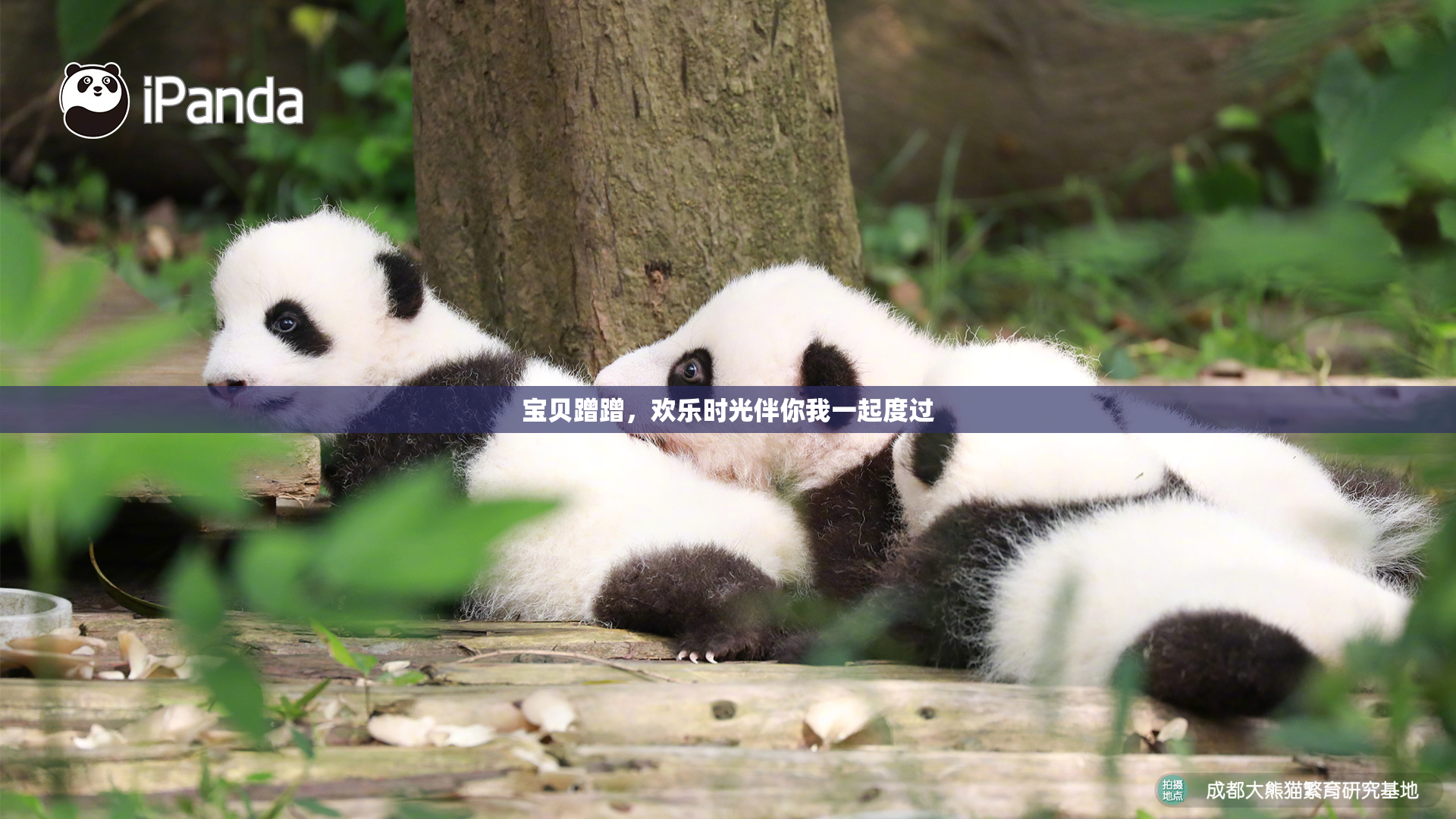 宝贝蹭蹭，欢乐时光伴你我一起度过