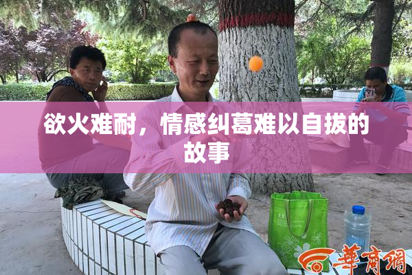 欲火难耐，情感纠葛难以自拔的故事