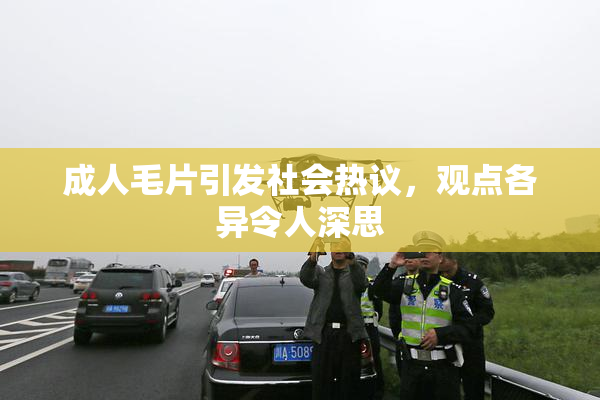 成人毛片引发社会热议，观点各异令人深思