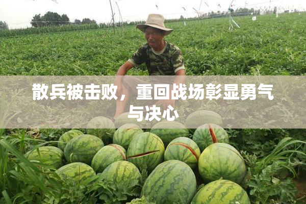 散兵被击败，重回战场彰显勇气与决心