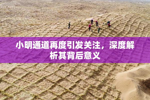 小明通道再度引发关注，深度解析其背后意义
