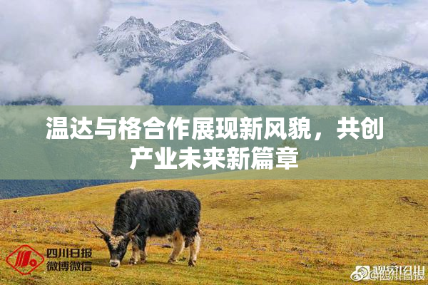 温达与格合作展现新风貌，共创产业未来新篇章