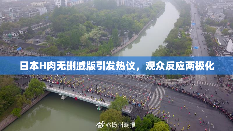 日本H肉无删减版引发热议，观众反应两极化