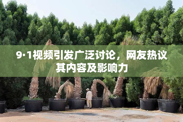 9·1视频引发广泛讨论，网友热议其内容及影响力
