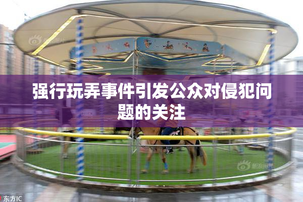 强行玩弄事件引发公众对侵犯问题的关注