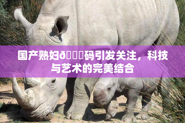 国产熟妇🈚码引发关注，科技与艺术的完美结合