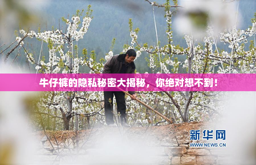 牛仔裤的隐私秘密大揭秘，你绝对想不到！