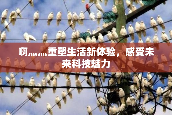 啊灬灬重塑生活新体验，感受未来科技魅力