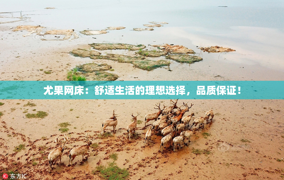 尤果网床：舒适生活的理想选择，品质保证！