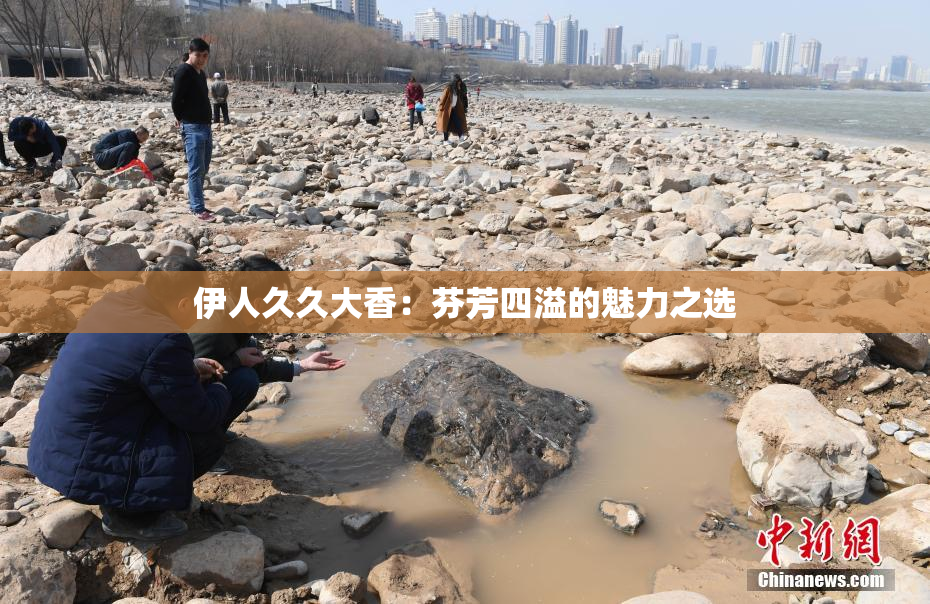 伊人久久大香：芬芳四溢的魅力之选