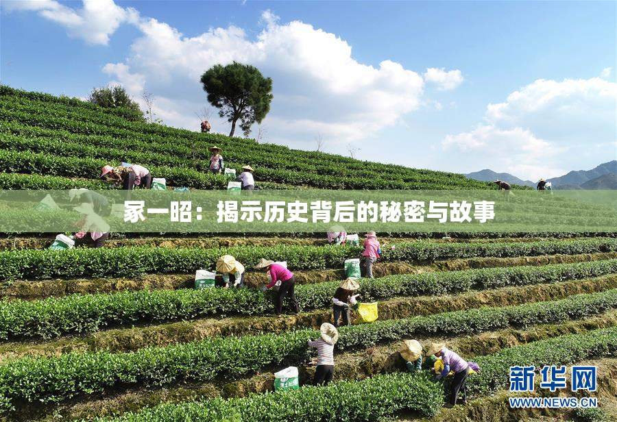 冢一昭：揭示历史背后的秘密与故事