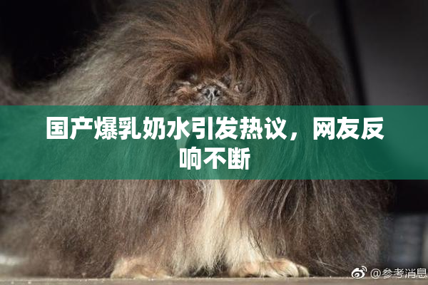 国产爆乳奶水引发热议，网友反响不断