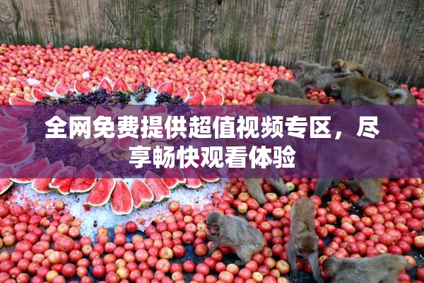 全网免费提供超值视频专区，尽享畅快观看体验