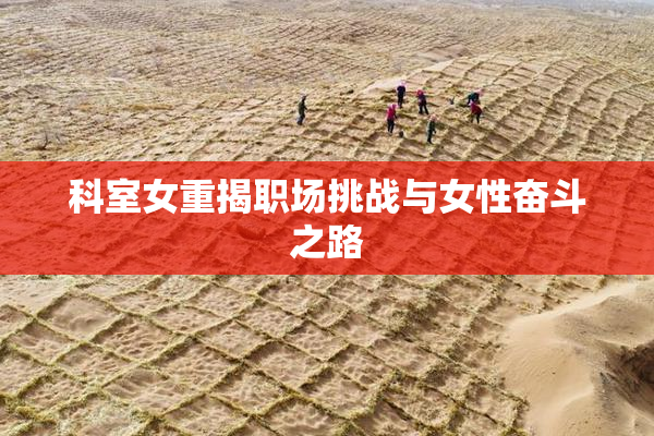 科室女重揭职场挑战与女性奋斗之路
