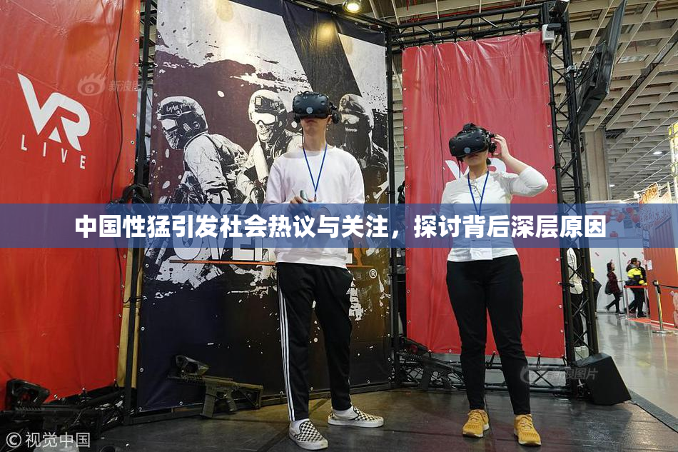 中国性猛引发社会热议与关注，探讨背后深层原因