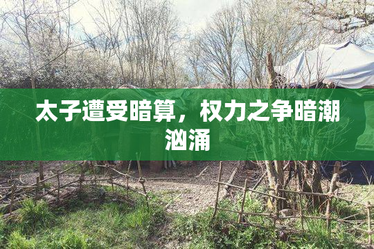 太子遭受暗算，权力之争暗潮汹涌