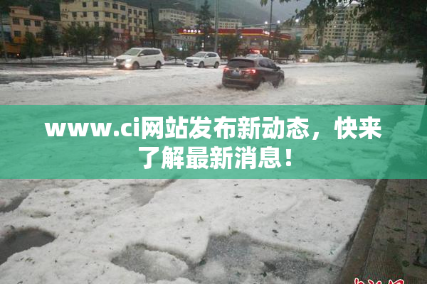 www.ci网站发布新动态，快来了解最新消息！