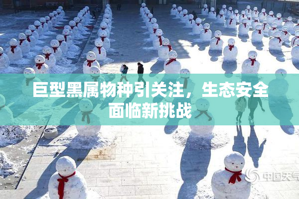 巨型黑属物种引关注，生态安全面临新挑战