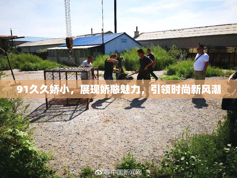 91久久娇小，展现娇憨魅力，引领时尚新风潮