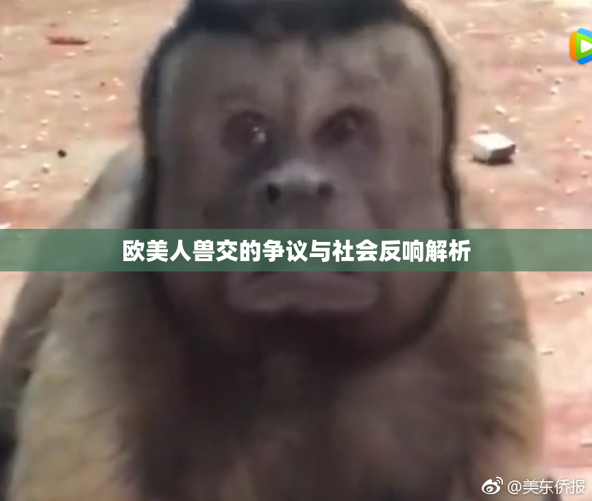 欧美人兽交的争议与社会反响解析