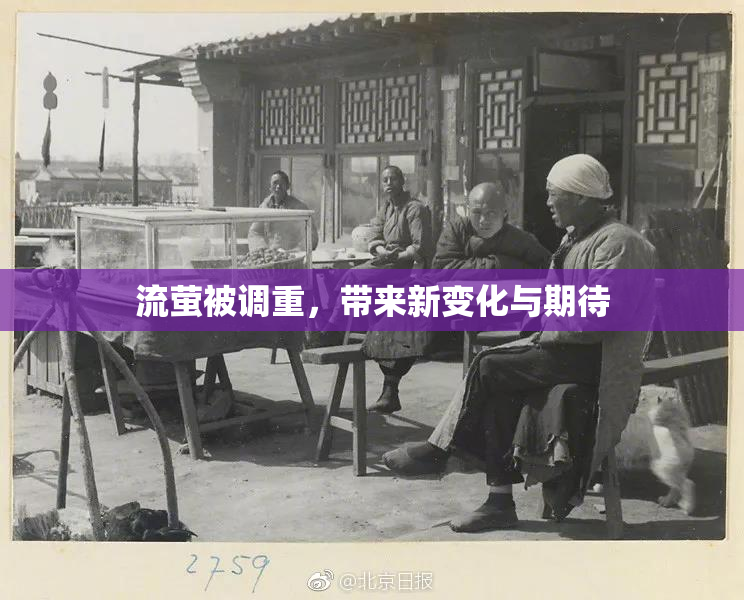 流萤被调重，带来新变化与期待