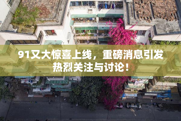 91又大惊喜上线，重磅消息引发热烈关注与讨论！